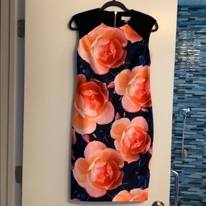 Calvin Klein dress - size 2